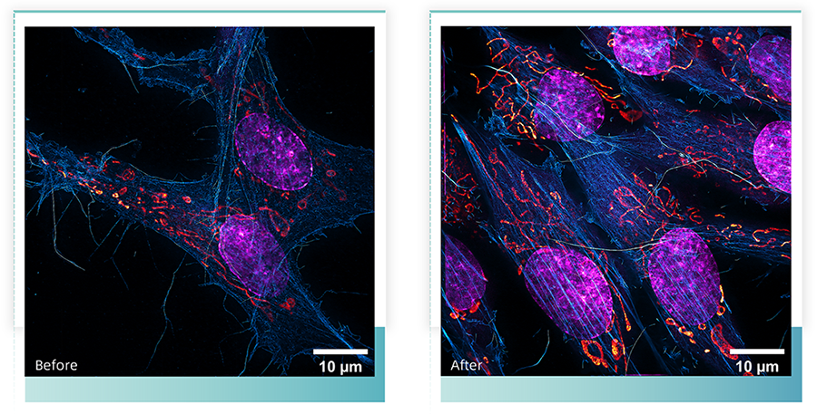 1733985309472382.png 官网内容更新_12.png