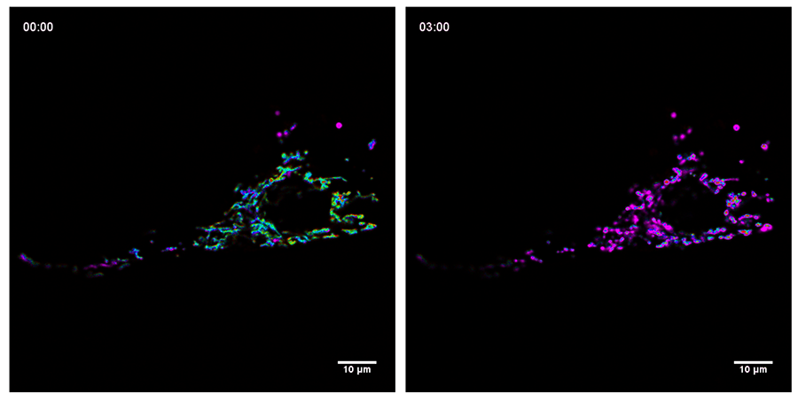 1733985644328428.png 官网_06.png