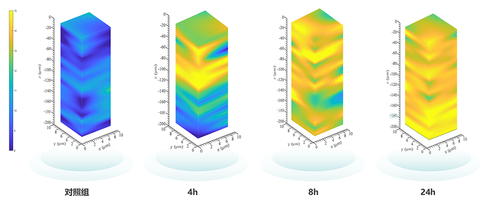 1733985824482438.png 官网_07.png